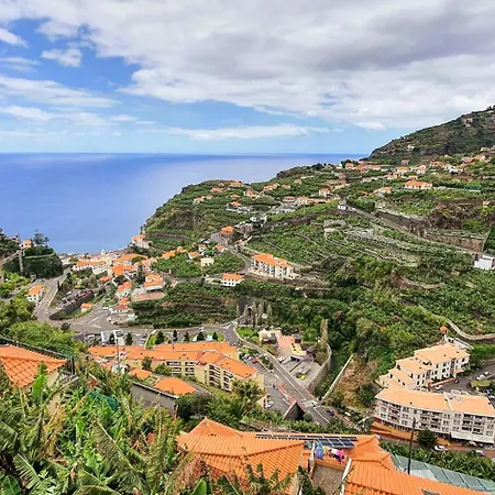 Margarida Ponta do Sol (Madeira)