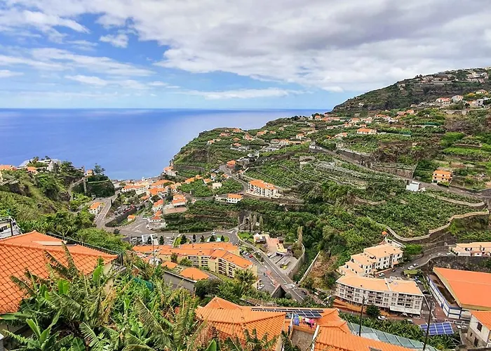 Margarida Ponta do Sol (Madeira)